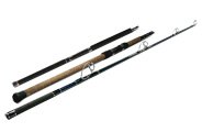 Fishing Rods – RVe Parts
