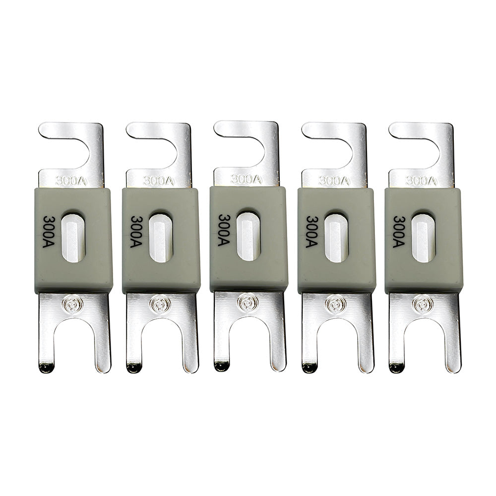 Victron CIP143300020 ANL-Fuse 300A/80V f/48V Products (Package of 5)