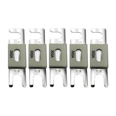 Victron CIP143300020 ANL-Fuse 300A/80V f/48V Products (Package of 5)