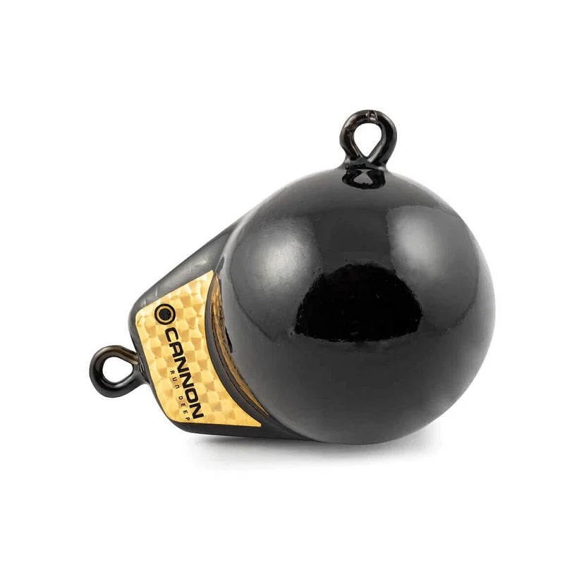 Cannon CAN2295180 6 Pound Flash Weight