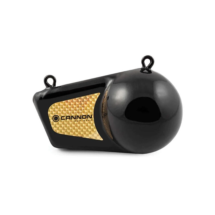 Cannon CAN2295190 12 Pound Flash Weight