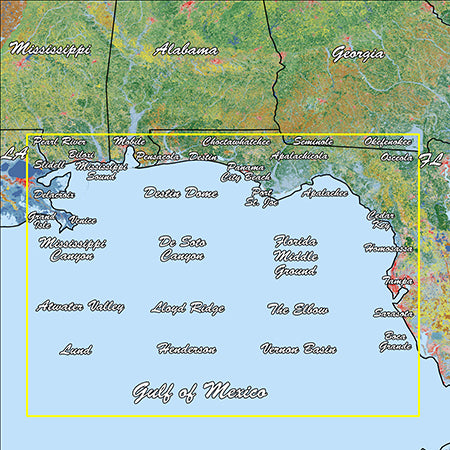 Garmin GAR010C118800 Coast Standard Mapping Professional