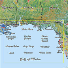 Garmin GAR010C118800 Coast Standard Mapping Professional