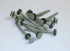 Taylor 96028 Galvanized #6 Nails w/Washers 1/8# 12/Cd