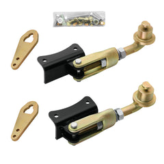 Reese 26025 Gold Dual Cam HP Classic Sway Control