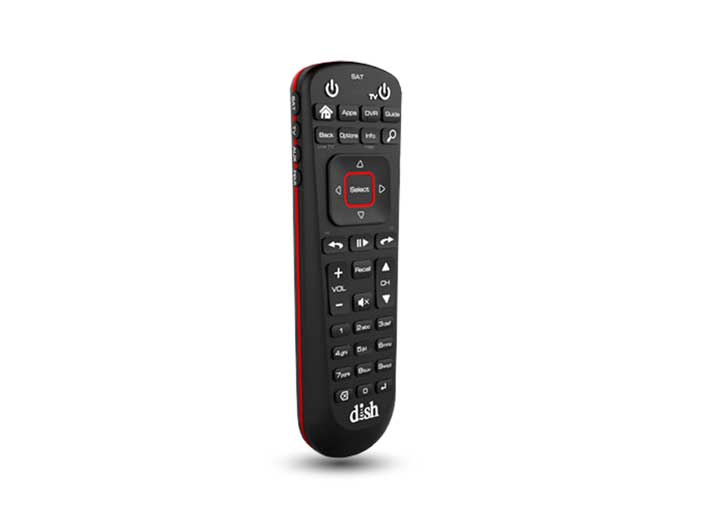 Pace Rng110 Remote Pace Dn006801 52.0 Remote For Dish Wally – RVe Parts