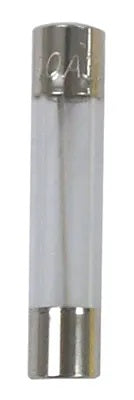 Sierra FS79170 AGC Glass Fuse - 10 Amp, Pack of 5