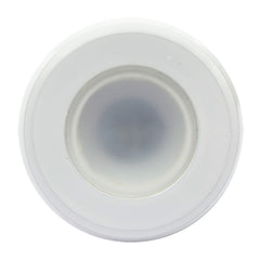 Shadow-Caster Single Color White Non-Dimmable White Powder Coat Down Light