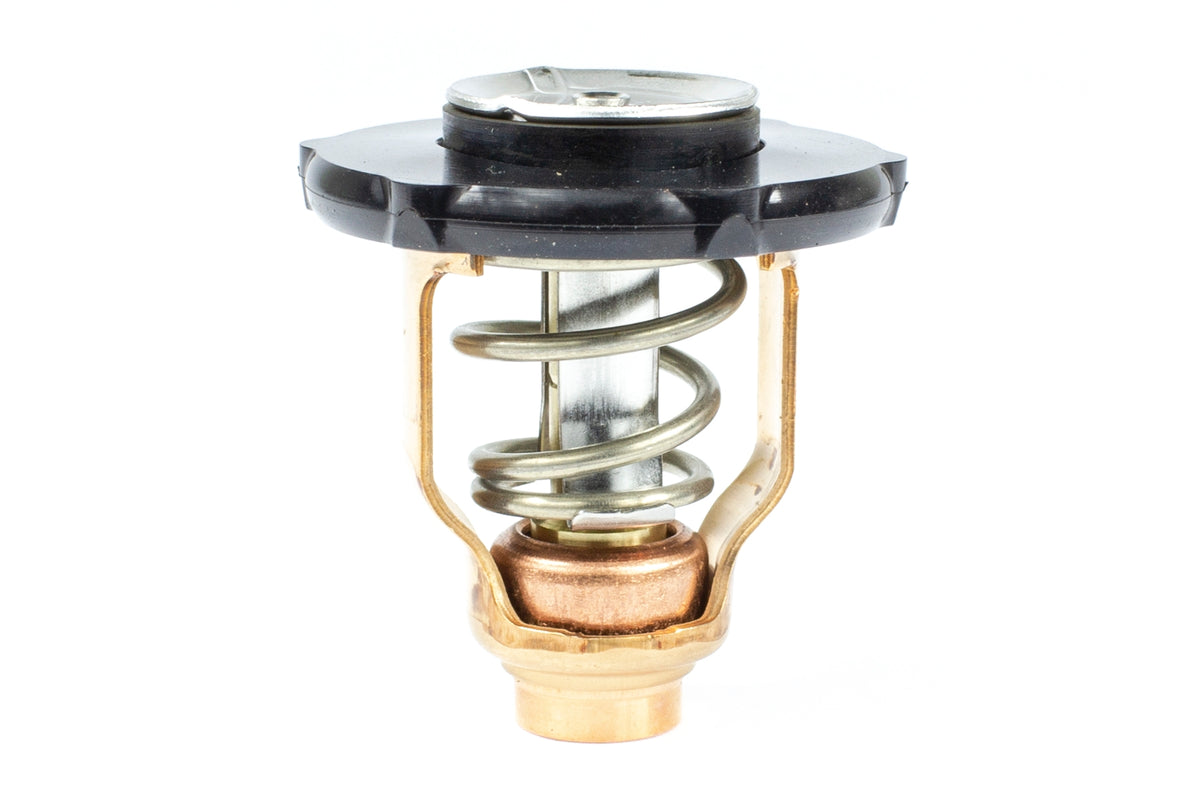 Sierra 18-3641 Thermostat