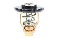 Sierra 18-3641 Thermostat