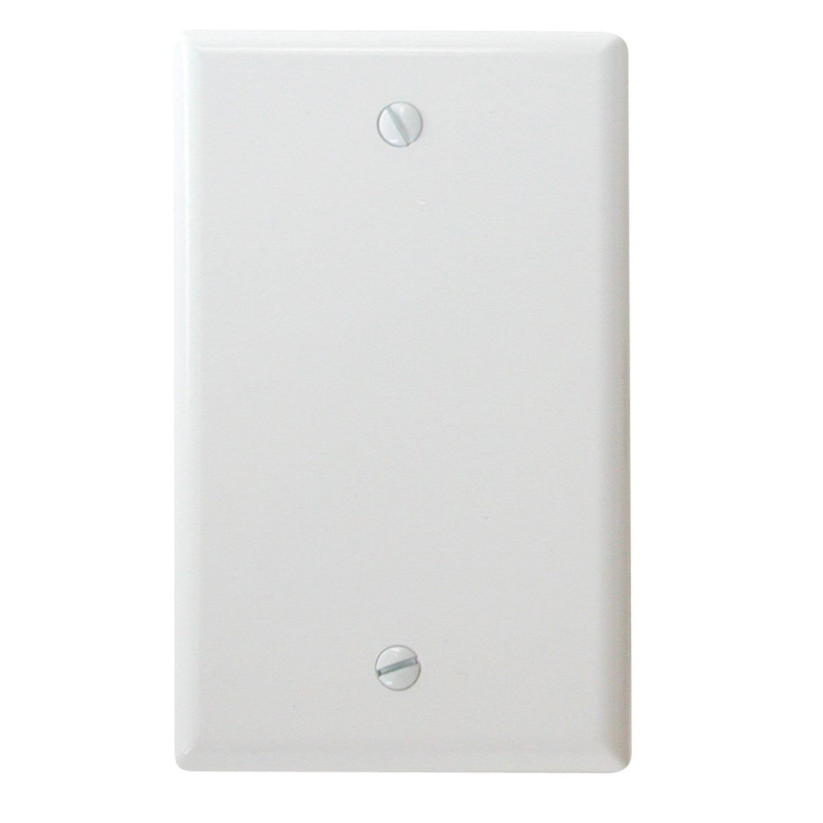 Diamond Group by Valterra DG52489VP Blank Standard Wall Plate - White