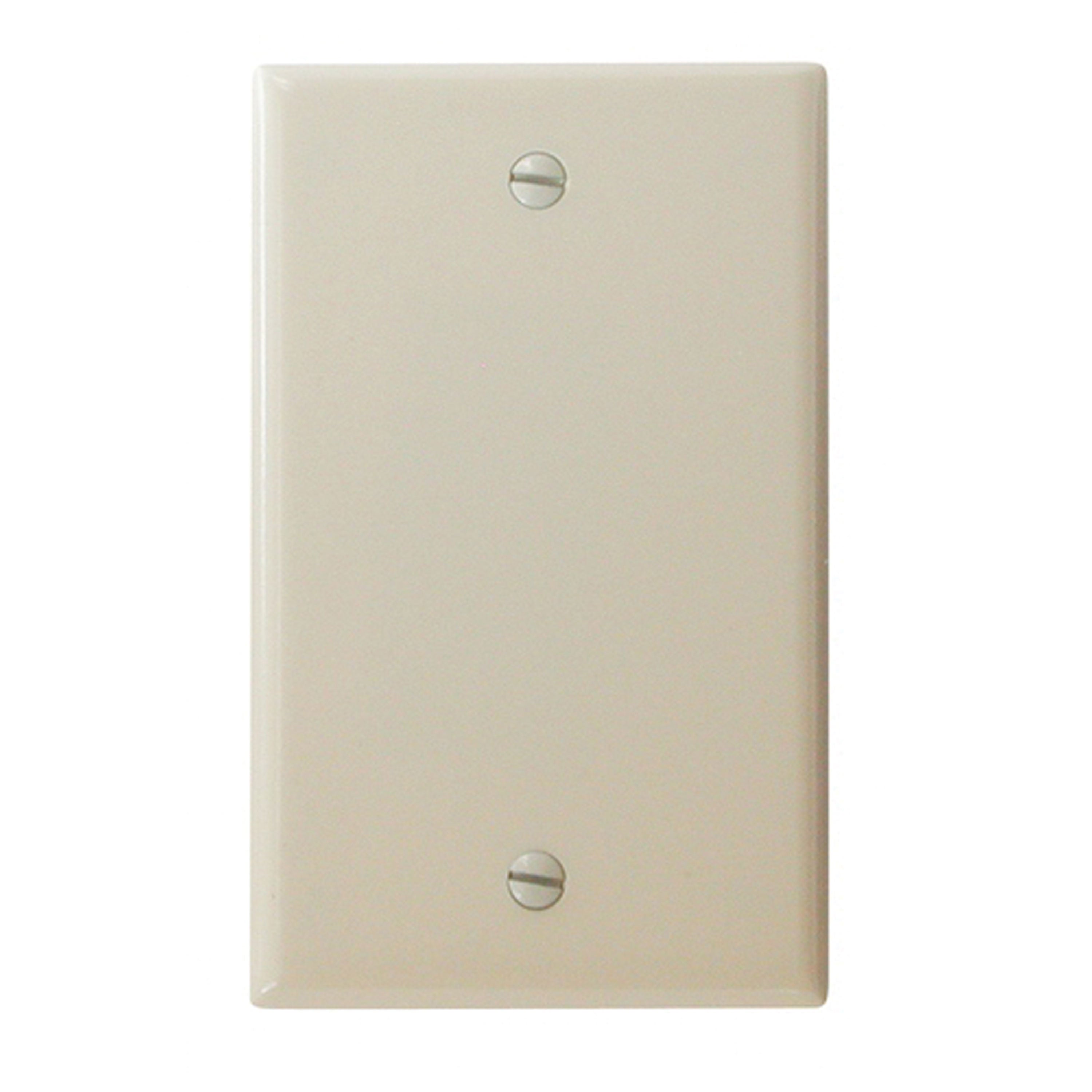 Diamond Group by Valterra DG52490VP Blank Standard Wall Plate - Ivory