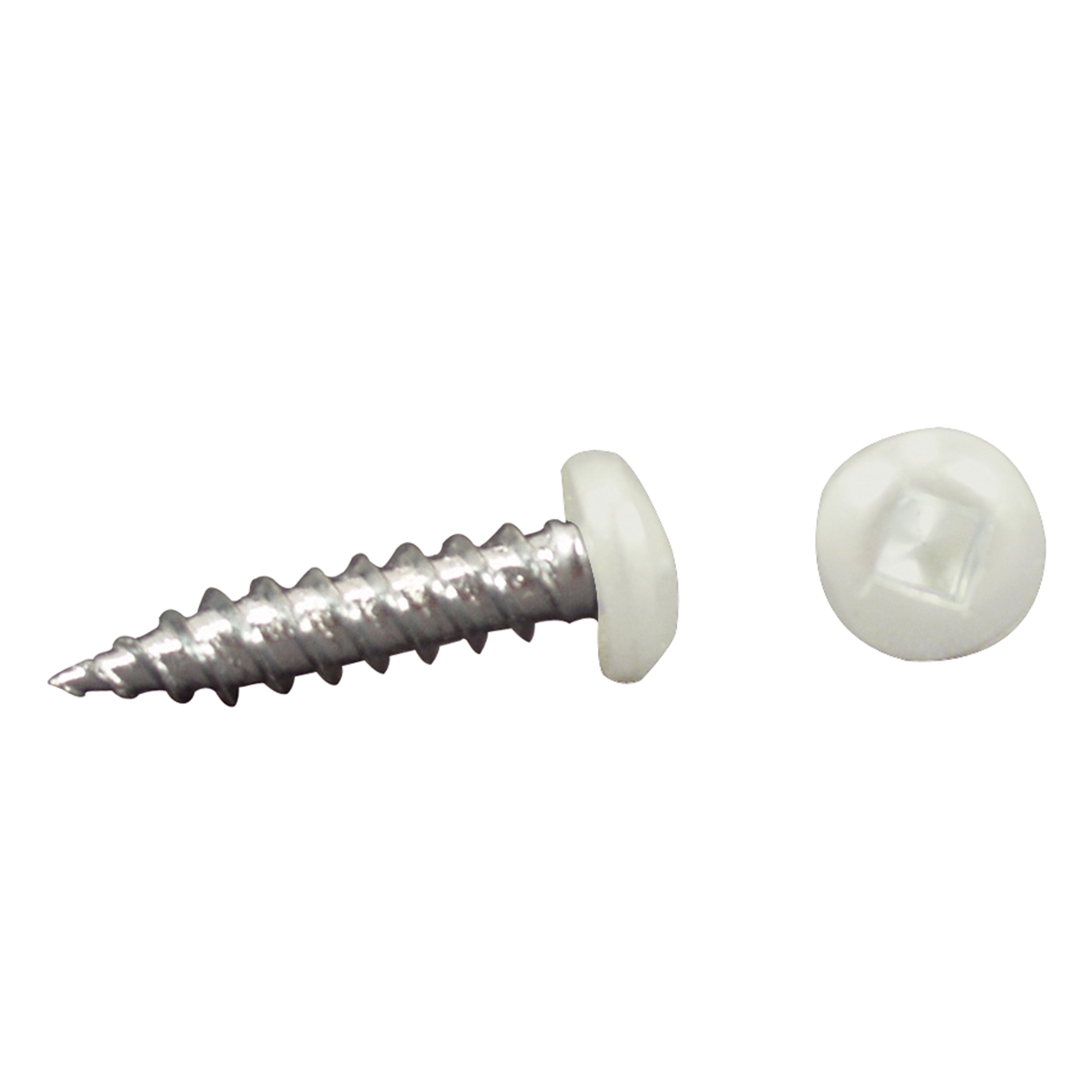 AP Products 012-PSQ500 W 8 X 1-1/4 Pan Head Square Recess Screw - #8 x 1.25", White, Pack of 500