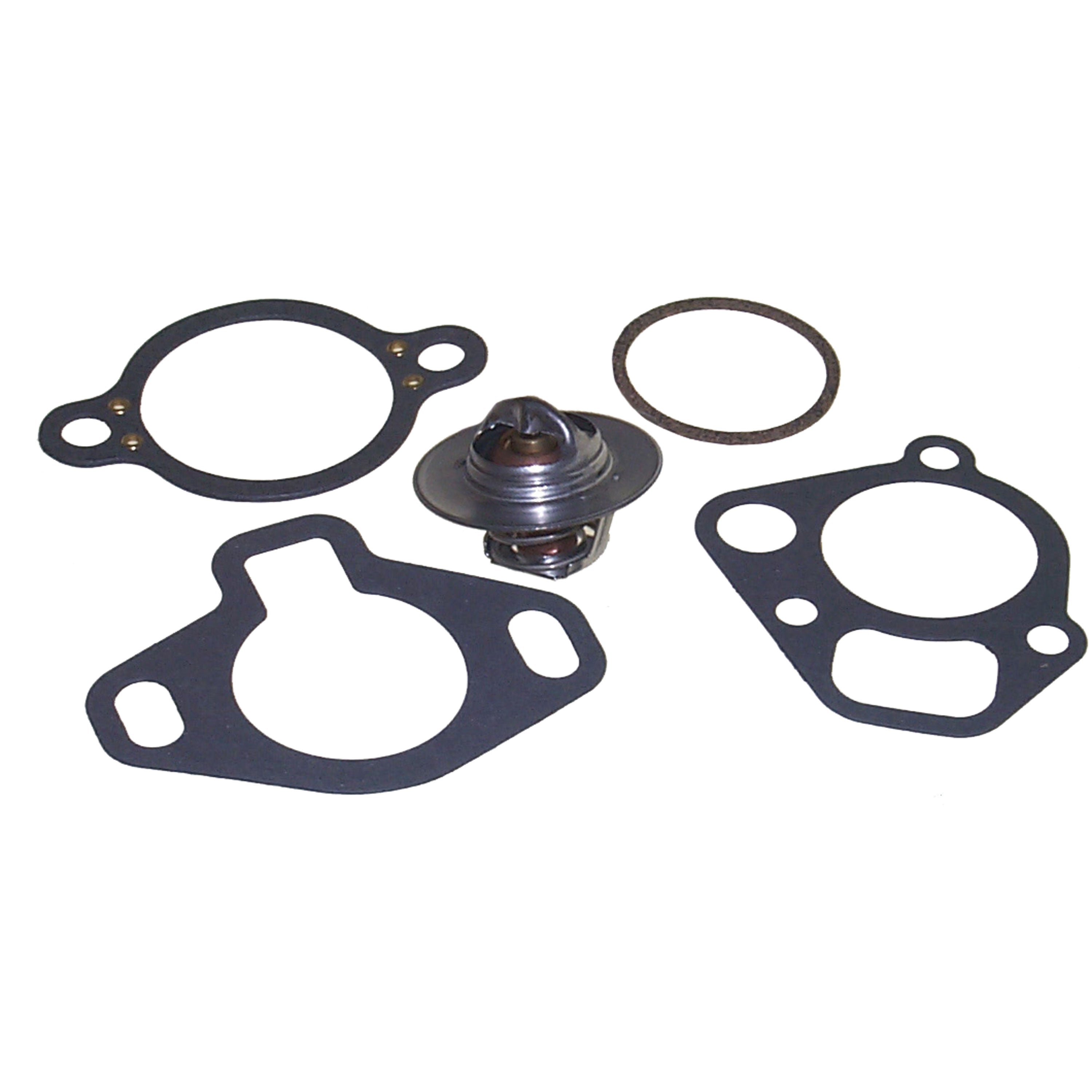 Sierra 18-3646D Thermostat Kit