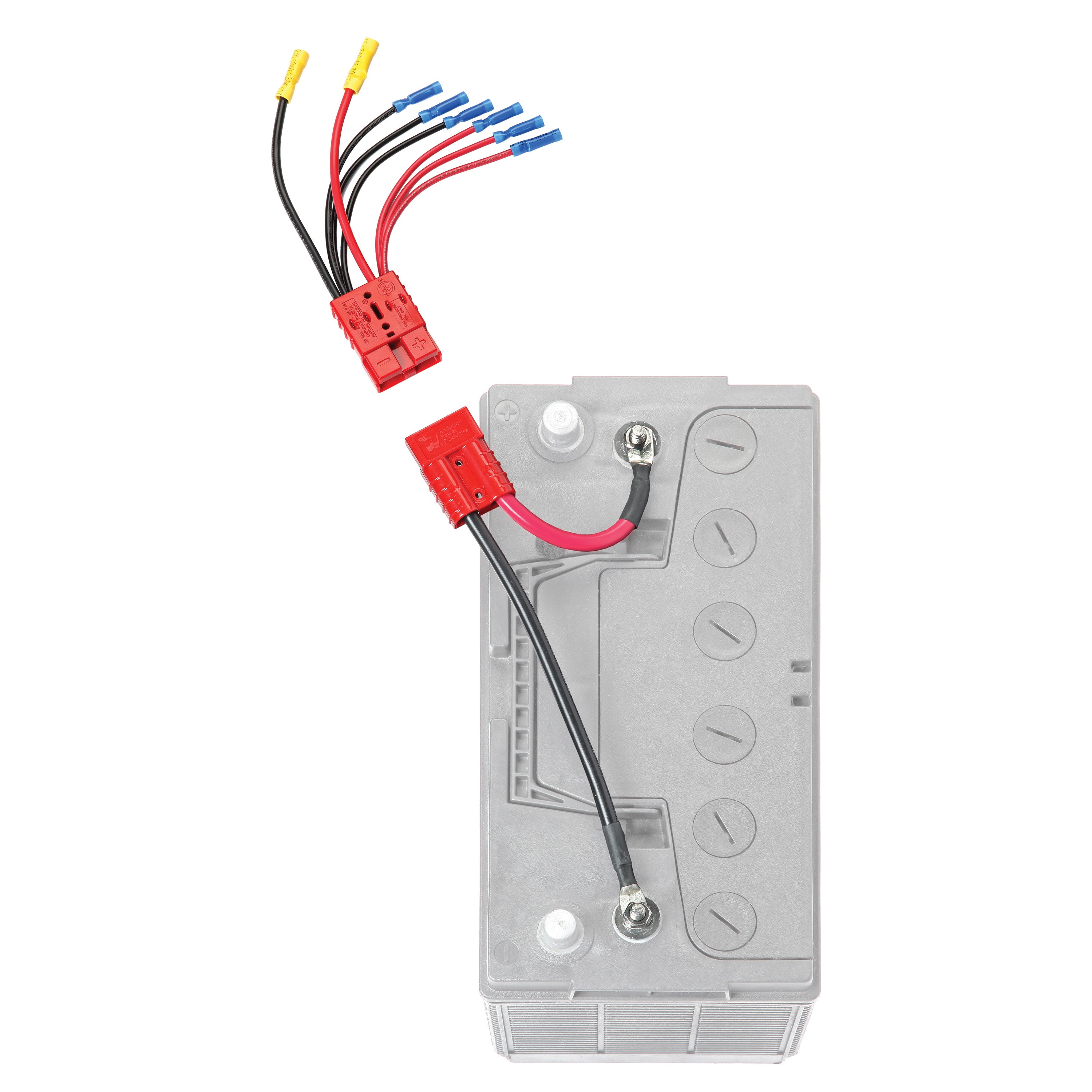 Connect-Ease RCE12VB4K Battery Connector Easy 4 Lead