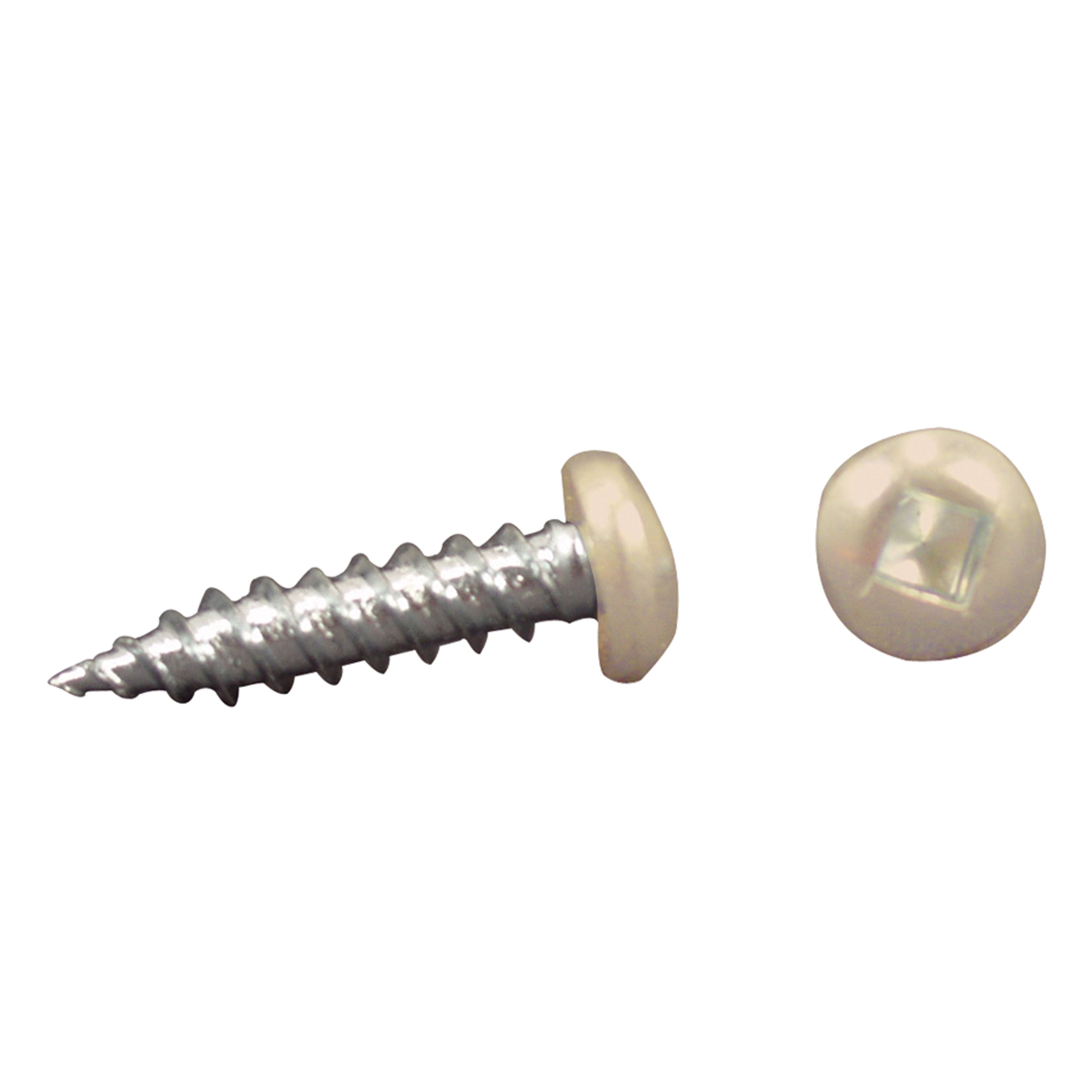 AP Products 012-PSQ50 8 X 1 Pan Head Square Recess Screw, Pack of 50 - 1", Colonial White