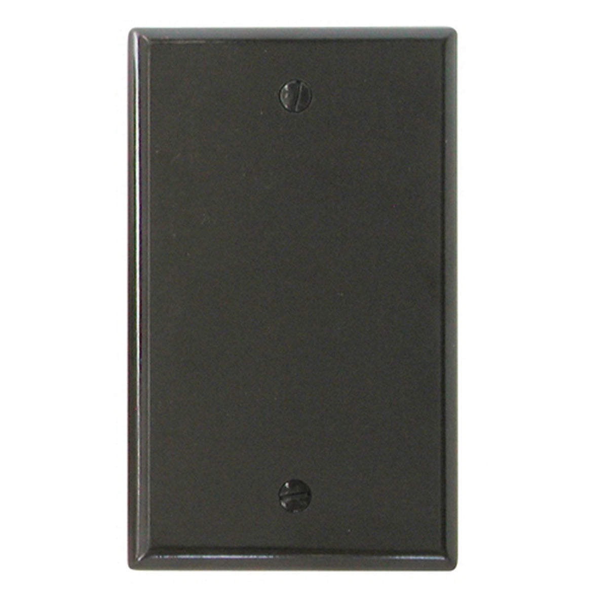 Diamond Group by Valterra DG52488VP Blank Standard Wall Plate - Brown